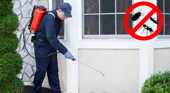 Akçakale Gümüşkurt İlaçlama böcek ilaçlama ve haşere kontrolü — ilaclama-tr.com